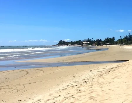 Flecheiras