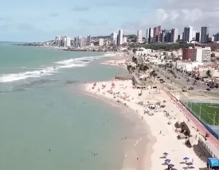Transfer Natal